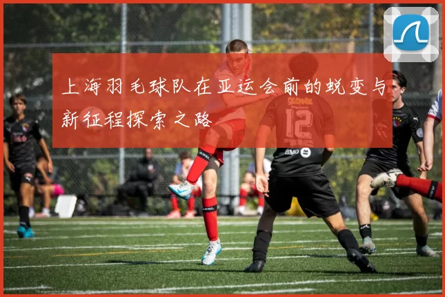 上海羽毛球队在亚运会前的蜕变与新征程探索之路