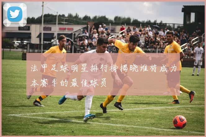 法甲足球明星排行榜揭晓谁将成为本赛季的最佳球员