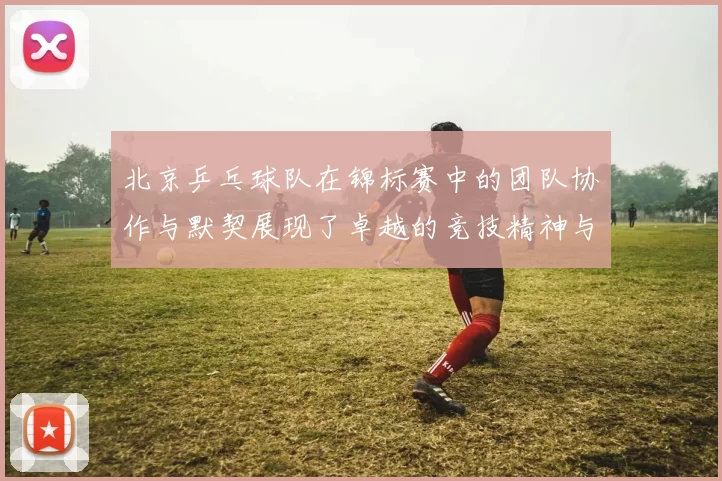 北京乒乓球队在锦标赛中的团队协作与默契展现了卓越的竞技精神与团结力量