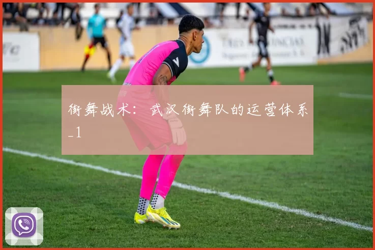 街舞战术：武汉街舞队的运营体系_1