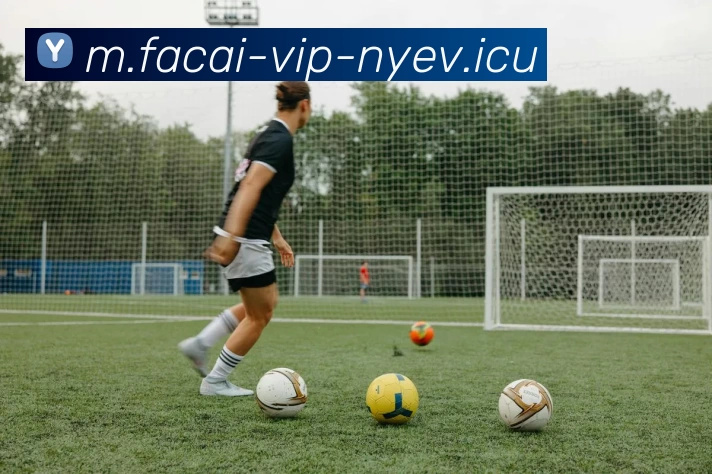 乐鱼体育全站App